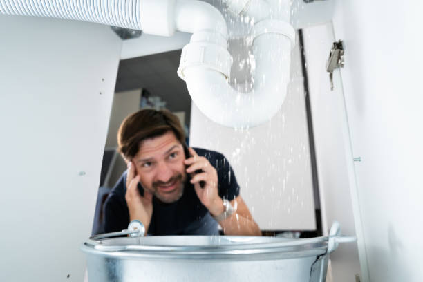 Best Local Plumber Services  in Fulda, MN