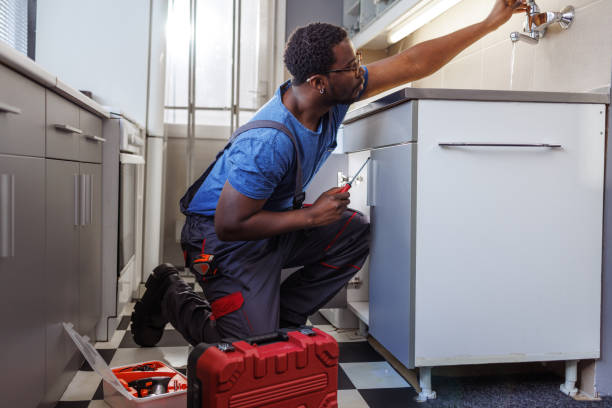 Best Local Plumber Services  in Fulda, MN